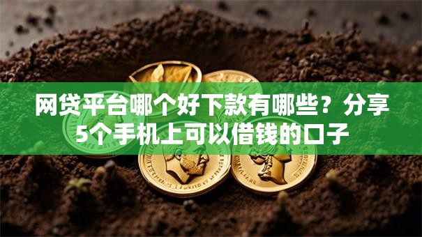 网贷平台哪个好下款有哪些？分享5个手机上可以借钱的口子