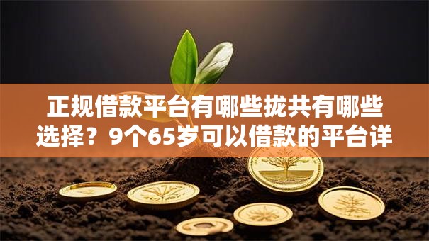 正规借款平台有哪些拢共有哪些选择?9个65岁可以借款的平台详解 正规借款平台有哪些拢共有哪些选择?9个65岁可以借款的平台详解