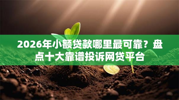 2026年小额贷款哪里最可靠？盘点十大靠谱投诉网贷平台
