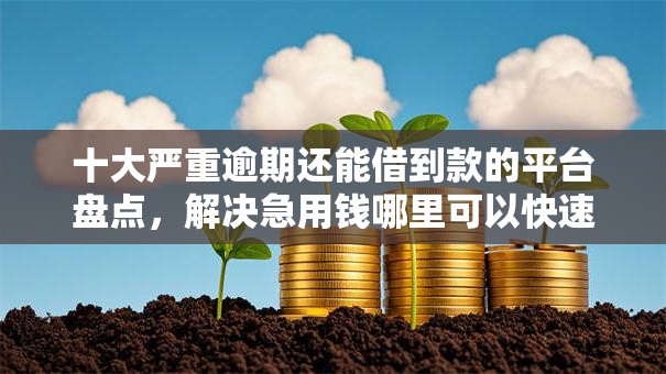 十大严重逾期还能借到款的平台盘点，解决急用钱哪里可以快速借到的问题