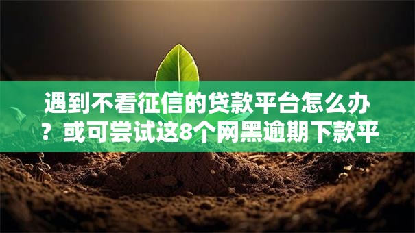 遇到不看征信的贷款平台怎么办?或可尝试这8个网黑逾期下款平台 遇到不看征信的贷款平台怎么办?或可尝试这8个网黑逾期下款平台