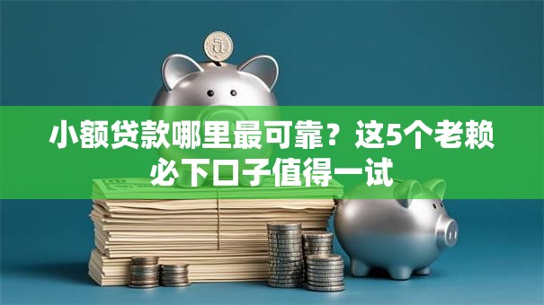 小额贷款哪里最可靠？这5个老赖必下口子值得一试