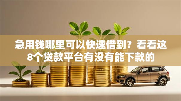急用钱哪里可以快速借到?看看这8个贷款平台有没有能下款的 急用钱哪里可以快速借到?看看这8个贷款平台有没有能下款的