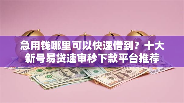 急用钱哪里可以快速借到？十大新号易贷速审秒下款平台推荐