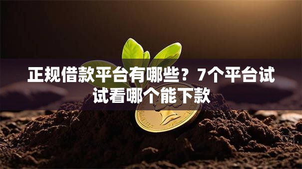 正规借款平台有哪些?7个平台试试看哪个能下款 正规借款平台有哪些?7个平台试试看哪个能下款