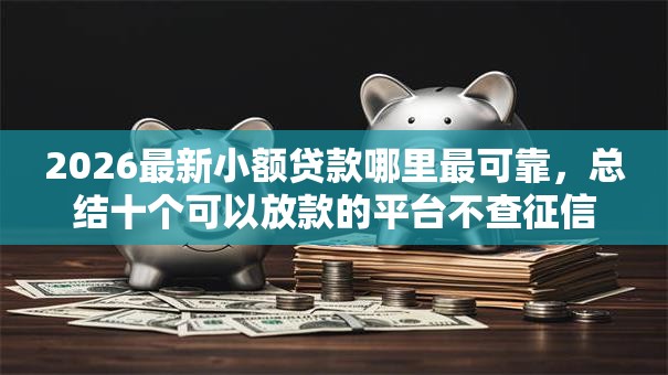2026最新小额贷款哪里最可靠,总结十个可以放款的平台不查征信! 2026最新小额贷款哪里最可靠,总结十个可以放款的平台不查征信!