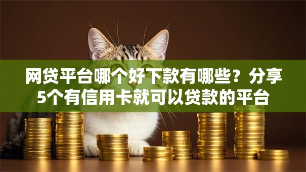 网贷平台哪个好下款有哪些？分享5个有信用卡就可以贷款的平台