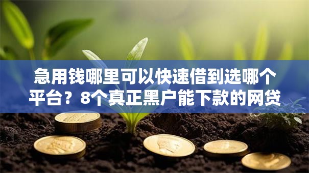 急用钱哪里可以快速借到选哪个平台?8个真正黑户能下款的网贷平台推荐 急用钱哪里可以快速借到选哪个平台?8个真正黑户能下款的网贷平台推荐