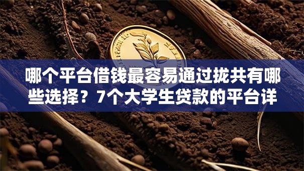 哪个平台借钱最容易通过拢共有哪些选择?7个大学生贷款的平台详解 哪个平台借钱最容易通过拢共有哪些选择?7个大学生贷款的平台详解