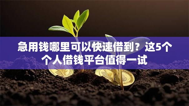 急用钱哪里可以快速借到？这5个个人借钱平台值得一试