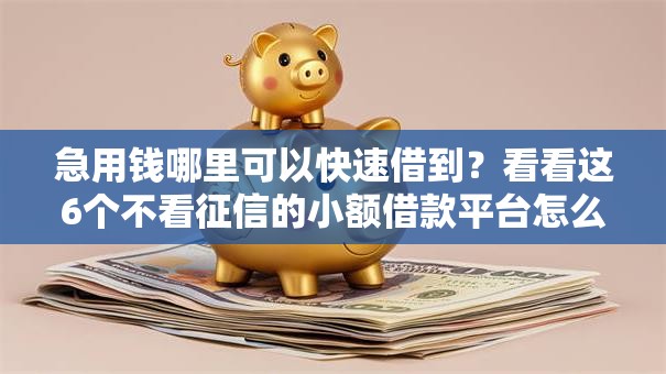 急用钱哪里可以快速借到?看看这6个不看征信的小额借款平台怎么样 急用钱哪里可以快速借到?看看这6个不看征信的小额借款平台怎么样
