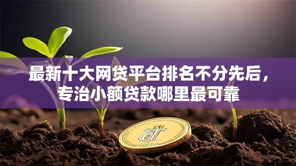 最新十大网贷平台排名不分先后，专治小额贷款哪里最可靠