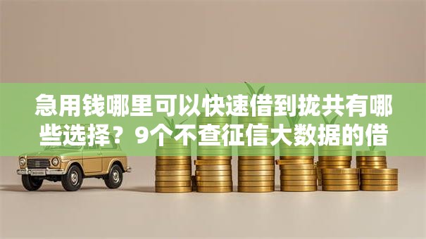 急用钱哪里可以快速借到拢共有哪些选择?9个不查征信大数据的借款平台百分百通过详解 急用钱哪里可以快速借到拢共有哪些选择?9个不查征信大数据的借款平台百分百通过详解