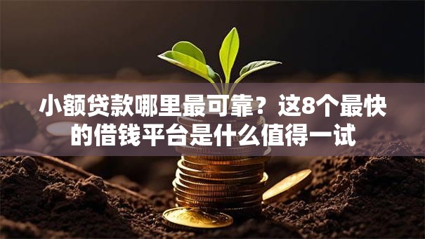 小额贷款哪里最可靠?这8个最快的借钱平台是什么值得一试 小额贷款哪里最可靠?这8个最快的借钱平台是什么值得一试