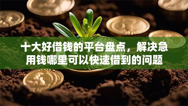 十大好借钱的平台盘点，解决急用钱哪里可以快速借到的问题