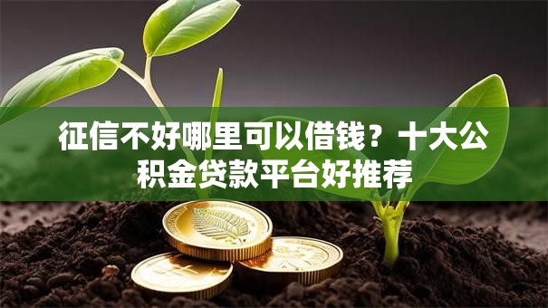 征信不好哪里可以借钱？十大公积金贷款平台好推荐