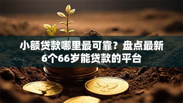 小额贷款哪里最可靠？盘点最新6个66岁能贷款的平台