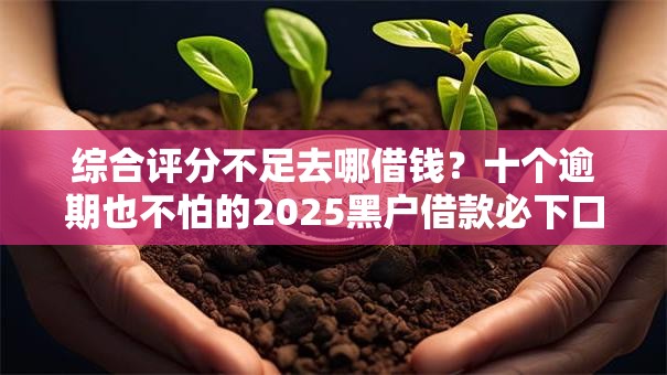 综合评分不足去哪借钱?十个逾期也不怕的2025黑户借款必下口子 综合评分不足去哪借钱?十个逾期也不怕的2025黑户借款必下口子