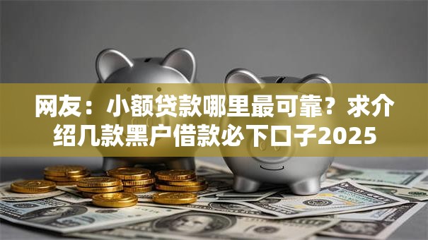 网友:小额贷款哪里最可靠?求介绍几款黑户借款必下口子2025 网友:小额贷款哪里最可靠?求介绍几款黑户借款必下口子2025