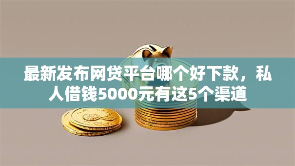 最新发布网贷平台哪个好下款，私人借钱5000元有这5个渠道