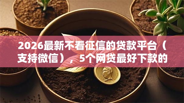 2026最新不看征信的贷款平台(支持微信),5个网贷最好下款的平台不看征信无私分享 2026最新不看征信的贷款平台(支持微信),5个网贷最好下款的平台不看征信无私分享