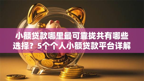 小额贷款哪里最可靠拢共有哪些选择?5个个人小额贷款平台详解 小额贷款哪里最可靠拢共有哪些选择?5个个人小额贷款平台详解
