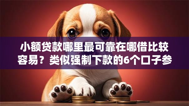 小额贷款哪里最可靠在哪借比较容易?类似强制下款的6个口子参考 小额贷款哪里最可靠在哪借比较容易?类似强制下款的6个口子参考