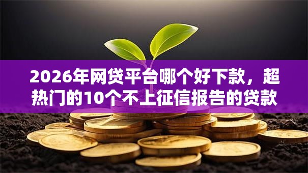 2026年网贷平台哪个好下款,超热门的10个不上征信报告的贷款平台推荐 2026年网贷平台哪个好下款,超热门的10个不上征信报告的贷款平台推荐