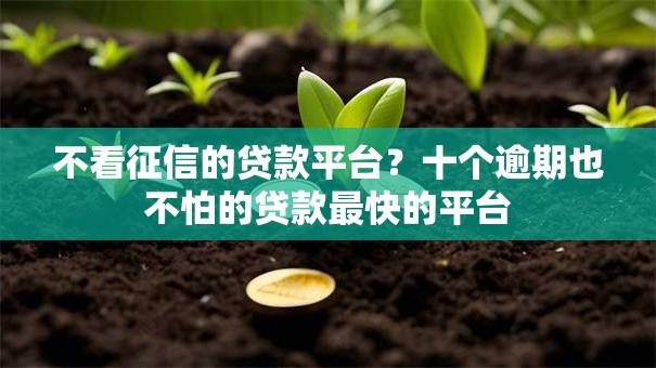 不看征信的贷款平台?十个逾期也不怕的贷款最快的平台 不看征信的贷款平台?十个逾期也不怕的贷款最快的平台