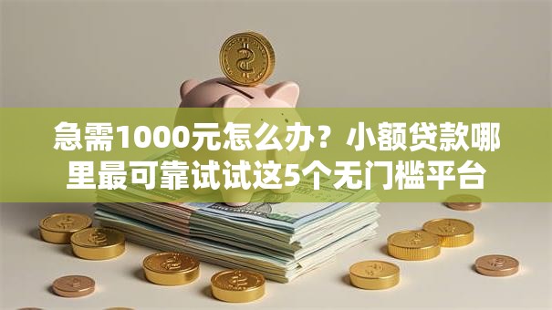 急需1000元怎么办?小额贷款哪里最可靠试试这5个无门槛平台 急需1000元怎么办?小额贷款哪里最可靠试试这5个无门槛平台