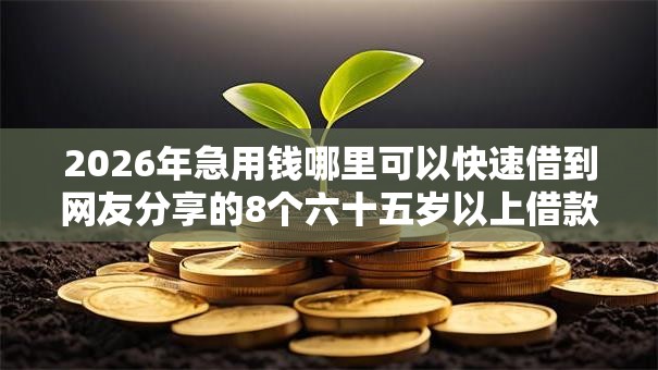 2026年急用钱哪里可以快速借到网友分享的8个六十五岁以上借款平台我觉得不错! 2026年急用钱哪里可以快速借到网友分享的8个六十五岁以上借款平台我觉得不错!
