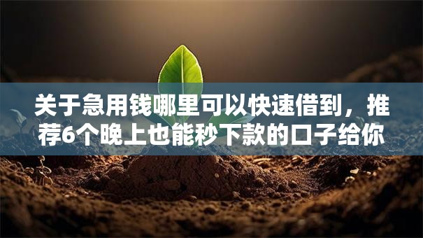 关于急用钱哪里可以快速借到,推荐6个晚上也能秒下款的口子给你 关于急用钱哪里可以快速借到,推荐6个晚上也能秒下款的口子给你