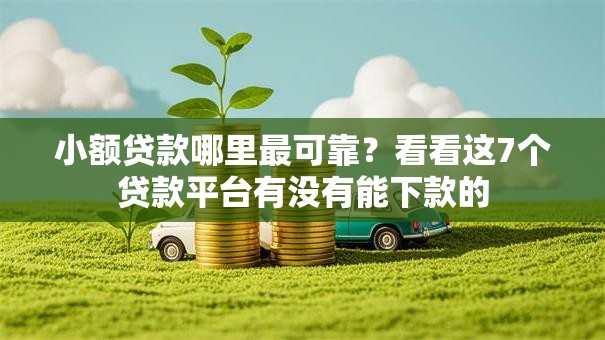 小额贷款哪里最可靠?看看这7个贷款平台有没有能下款的 小额贷款哪里最可靠?看看这7个贷款平台有没有能下款的