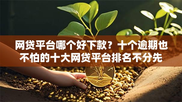 网贷平台哪个好下款？十个逾期也不怕的十大网贷平台排名不分先后