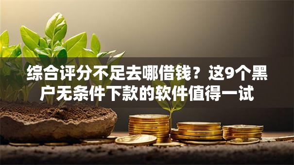 综合评分不足去哪借钱？这9个黑户无条件下款的软件值得一试