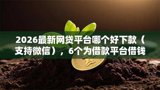 2026最新网贷平台哪个好下款(支持微信),6个为借款平台借钱不通过无私分享 2026最新网贷平台哪个好下款(支持微信),6个为借款平台借钱不通过无私分享
