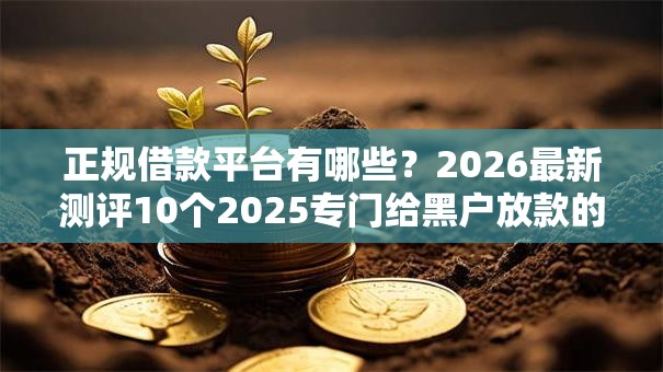 正规借款平台有哪些？2026最新测评10个2025专门给黑户放款的平台