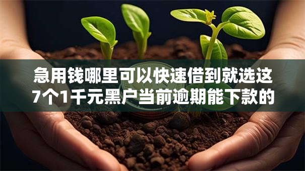 急用钱哪里可以快速借到就选这7个1千元黑户当前逾期能下款的口子 急用钱哪里可以快速借到就选这7个1千元黑户当前逾期能下款的口子