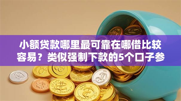 小额贷款哪里最可靠在哪借比较容易？类似强制下款的5个口子参考