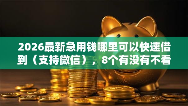 2026最新急用钱哪里可以快速借到（支持微信），8个有没有不看征信的贷款平台无私分享