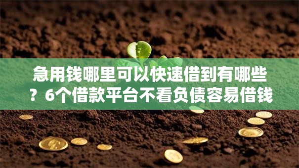 急用钱哪里可以快速借到有哪些？6个借款平台不看负债容易借钱推荐给你