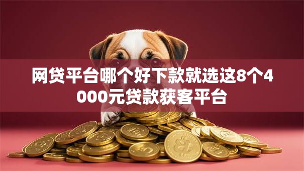 网贷平台哪个好下款就选这8个4000元贷款获客平台 网贷平台哪个好下款就选这8个4000元贷款获客平台