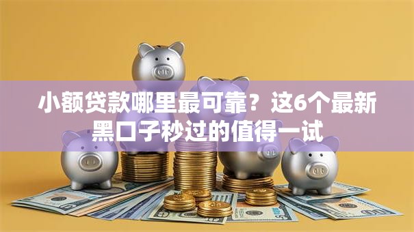 小额贷款哪里最可靠？这6个最新黑口子秒过的值得一试