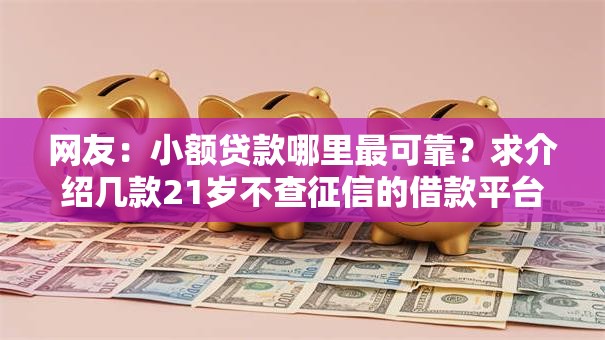 网友：小额贷款哪里最可靠？求介绍几款21岁不查征信的借款平台百分百通过