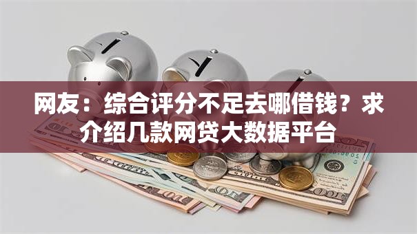 网友：综合评分不足去哪借钱？求介绍几款网贷大数据平台