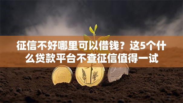 征信不好哪里可以借钱?这5个什么贷款平台不查征信值得一试 征信不好哪里可以借钱?这5个什么贷款平台不查征信值得一试