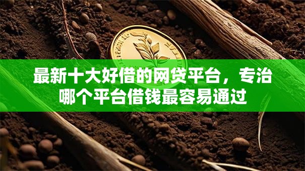 最新十大好借的网贷平台,专治哪个平台借钱最容易通过 最新十大好借的网贷平台,专治哪个平台借钱最容易通过