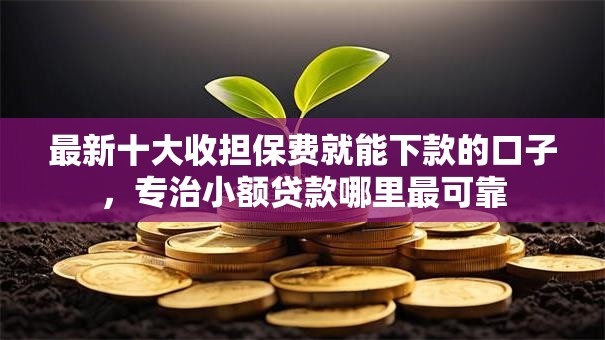 最新十大收担保费就能下款的口子，专治小额贷款哪里最可靠