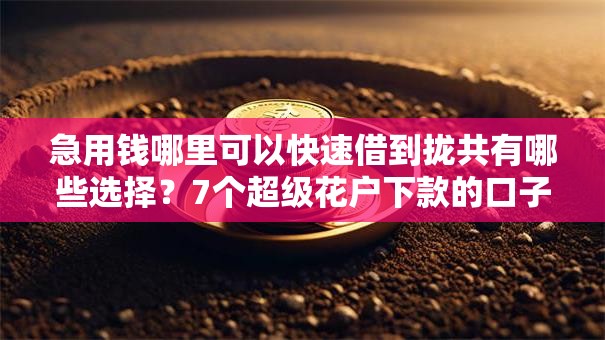 急用钱哪里可以快速借到拢共有哪些选择?7个超级花户下款的口子详解 急用钱哪里可以快速借到拢共有哪些选择?7个超级花户下款的口子详解