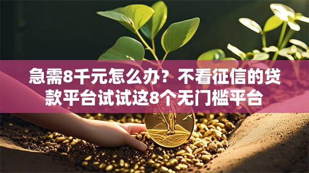急需8千元怎么办？不看征信的贷款平台试试这8个无门槛平台